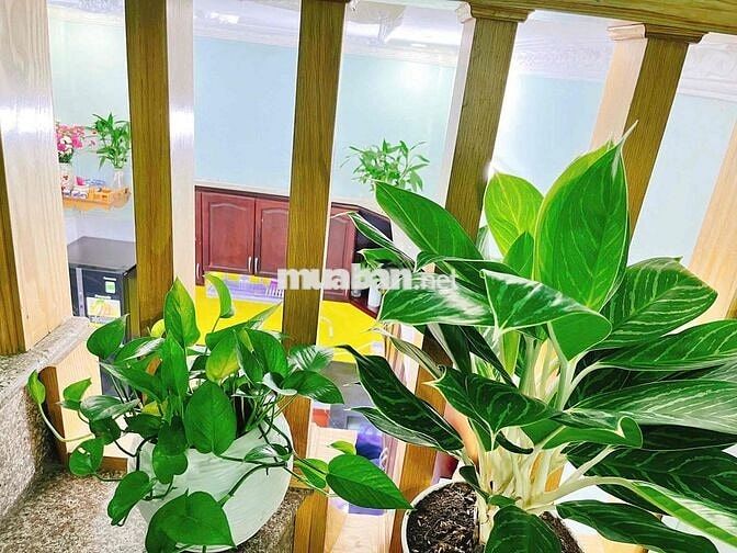 Nhà 2PN 2WC Full Nội Thất. Hẻm 5M lê thúc hoạch.DT: 3,3 X 10 trệt lầu