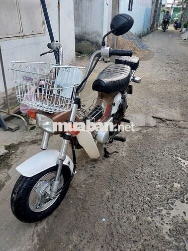Chaly Việt Thái 50cc biển 59GA_03173