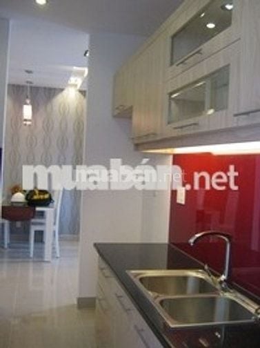 Cần bán căn hộ Good House 45 Trương Đình Hội, Phường 16,