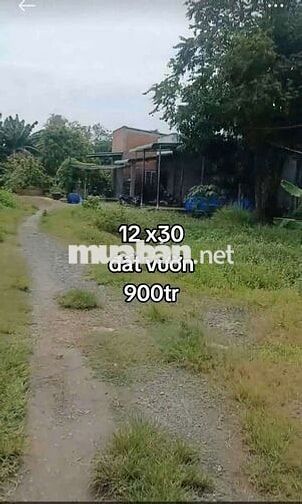 ĐẤT VƯỜN SÁT BÊN KCN ĐỨC HÒA 3