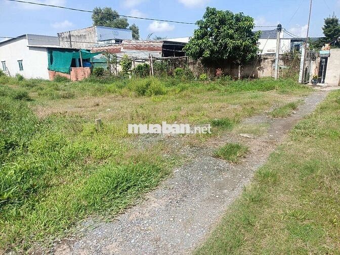 ĐẤT VƯỜN SÁT BÊN KCN ĐỨC HÒA 3