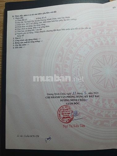 Đất thổ cư toàn bộ 107,3m2 tại DT781 Suối Đá, Dương Minh Châu.