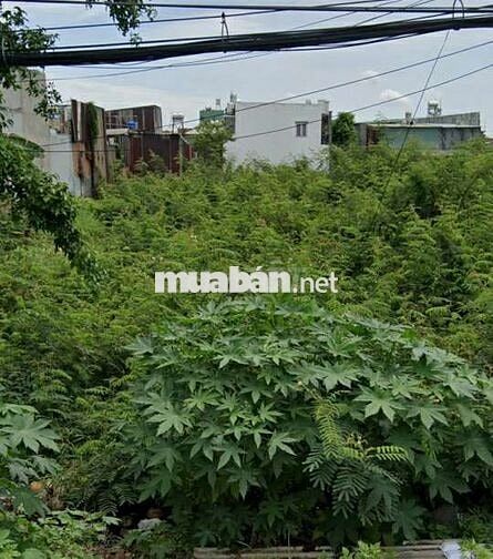 Mua là sẽ hời lô đất MT đ Sư Đoàn 9, Vĩnh Lộc A, Bình Chánh chỉ 880tr