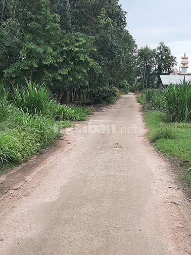 Đất thổ cư toàn bộ 107,3m2 tại DT781 Suối Đá, Dương Minh Châu.