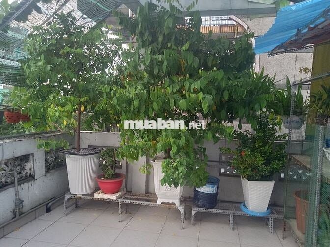 Cho thuê phòng chung cư lầu 2 mặt tiền Tuy Lý Vương gần Coopmart
