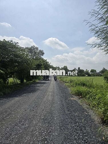 ĐẤT MẶT TIỀN THẠNH XUÂN 52,DT:2000m2,SỔ HỒNG RIÊNG, CHỈ 5.5 TRIỆU/m2