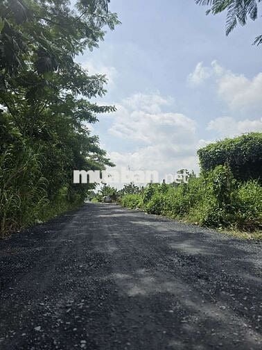 ĐẤT MẶT TIỀN THẠNH XUÂN 52,DT:2000m2,SỔ HỒNG RIÊNG, CHỈ 5.5 TRIỆU/m2