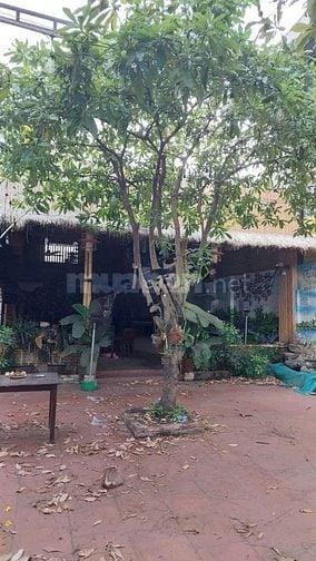 Cho thuê nhà mặt tiền Bình Quới, P.28, Q.BTH giá 25tr