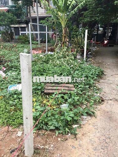 🌟 ĐẤT CHÍNH CHỦ – VUÔNG VỨC – hẻm xe tải - MẶT TIỀN 61M BÌNH TÂN 🌟