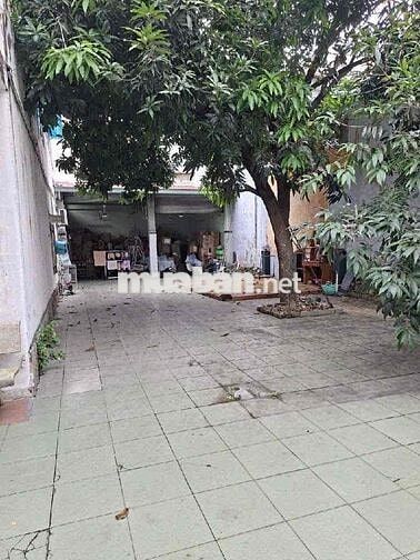 🔥SIÊU PHẨM ĐẤT XÂY CHDV 8 TẦNG 220M2 - NGANG 8 NỞ HẬU 2X TỶ