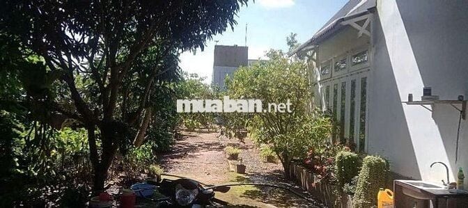 Chủ định cư nước ngoài cần bán gấp