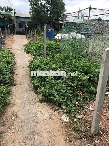 🌟 ĐẤT CHÍNH CHỦ – VUÔNG VỨC – hẻm xe tải - MẶT TIỀN 61M BÌNH TÂN 🌟