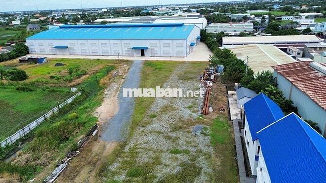 Cần Bán Gấp 36000m2 đất SKC tại Mỹ Yên Bến Lức