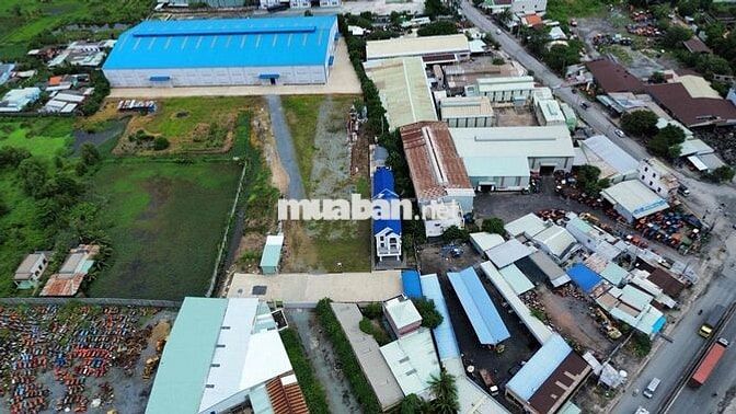 Cần Bán Gấp 36000m2 đất SKC tại Mỹ Yên Bến Lức