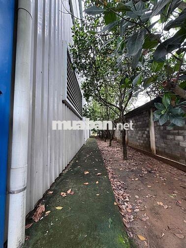 Cần Bán Gấp 36000m2 đất SKC tại Mỹ Yên Bến Lức