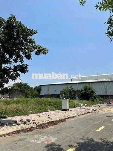 Sinh lời không ngừng với lô đất ở KDC Mỹ Phước 3, Bến Cát chỉ từ 889tr