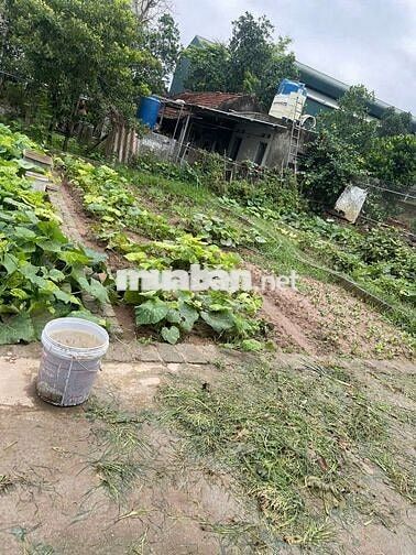 🔥🔥 Đất Đẹp xã Tự Nhiên - Thường Tín - HÀ NỘI 
🚀 Diện tích: 42.3M2