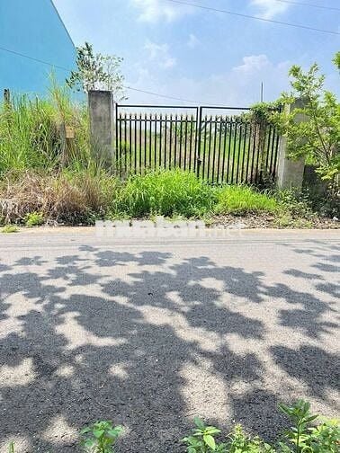 Bán đất 212m2 6,5m mặt tiền Đ.Số 30, Tân Thông Hội, HCM. Chỉ 1,3 Tỷ
