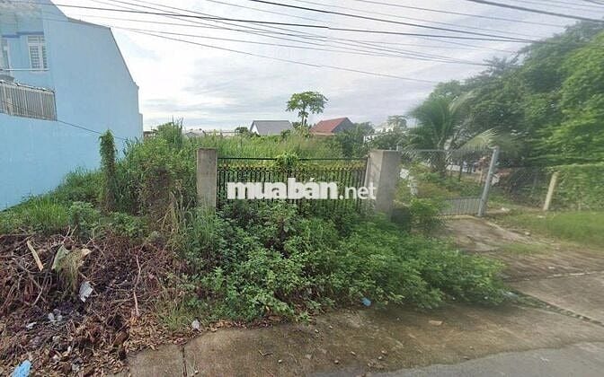 Bán đất 212m2 6,5m mặt tiền Đ.Số 30, Tân Thông Hội, HCM. Chỉ 1,3 Tỷ