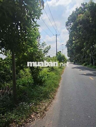 đất mặt tiền đường Bùi thị Diệt
