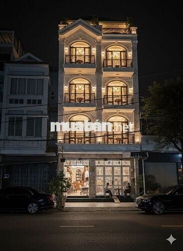 Mặt tiền Lê Đình Thám ngang khủng 6,1m cách Eaonmall 5 phút đi bộ