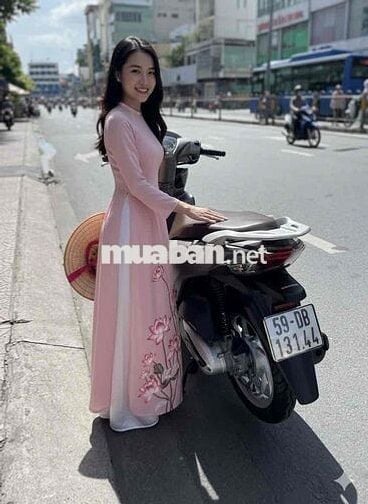 Vision SMK 2023