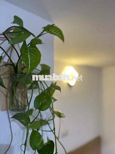 Cho Thuê Chung Cư Mini 1ngủ 1gácxep tại ngõ 72 Nguyễn Trãi Royal City