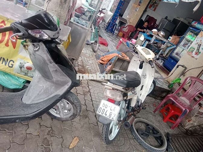 Max 50 khôg cần bằng lái