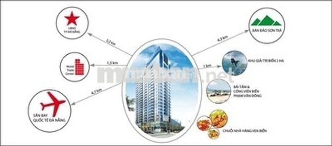 Căn hộ 42m2 1PN A La carte Phường Phước Mỹ
