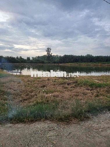 Bán Đất Nông Nghiệp 2500m2 Mặt Tiền Hẻm 274 Long Thới Nhà Bè