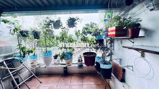 Cho Thuê Nhà Đường Nguyễn Hữu Hào, Quận 4 ( Ở / KD Tự Do )