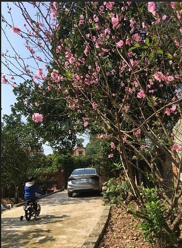 Cho Thuê Nhà trọ 50m2 nhà, 2000m2 vườn Giá 2,5tr cách TP BắcGiang~ 6km