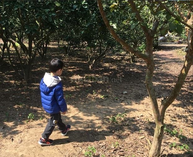 Cho Thuê Nhà trọ 50m2 nhà, 2000m2 vườn Giá 2,5tr cách TP BắcGiang~ 6km