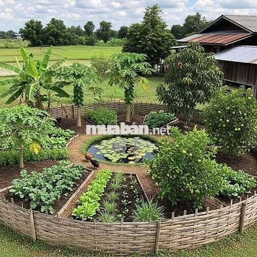 Đất Lô góc 3 mặt tiền;TRỒNG RAU NUÔI GÀ cách sbTân Sơn Nhất 30p đi xe.