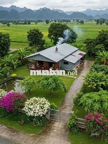 Đất Lô góc 3 mặt tiền;TRỒNG RAU NUÔI GÀ cách sbTân Sơn Nhất 30p đi xe.