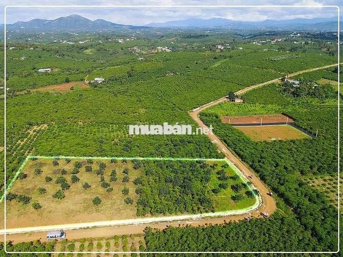 2 nền mặt đường liên xã Lộc An 5x46m sẵn thổ cư chỉ 690tr còn bớt