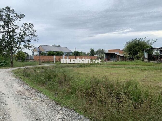 Đất Lô góc 3 mặt tiền;TRỒNG RAU NUÔI GÀ cách sbTân Sơn Nhất 30p đi xe.