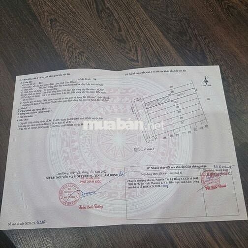 2 nền mặt đường liên xã Lộc An 5x46m sẵn thổ cư chỉ 690tr còn bớt