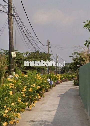 Chủ đất bệnh nhờ bán lô đất dt 107,5m2 giá 879tr Bình Chánh