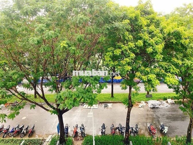 BÁN NHANH CĂN HỘ EMERALD CELADON CITY –  71m2 VIEW CÔNG VIÊN 16ha