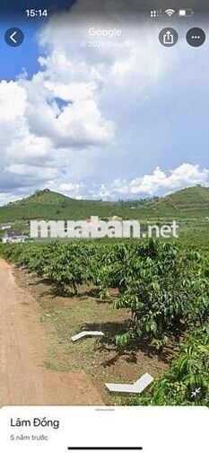 Cần chuyển nhượng đất nghỉ dưỡng đà lạt