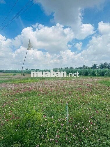 Chính chủ bán gấp dt 126m2 giá 546tr Tiền Giang