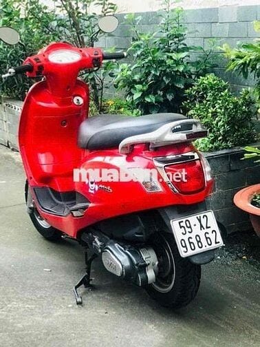 Sym Elizabth đỏ bstp