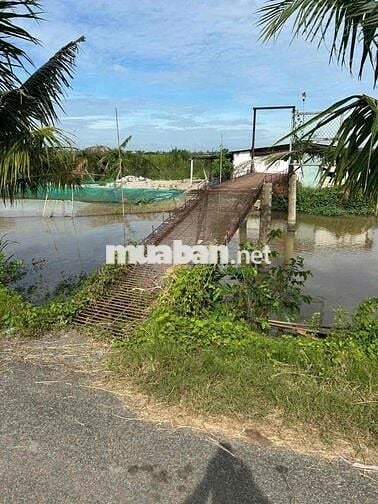 Bán Gấp Lô Đất Thổ Cư xã Tân điền huyện.gò công đông tiền giang