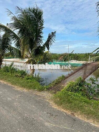 Bán Gấp Lô Đất Thổ Cư xã Tân điền huyện.gò công đông tiền giang
