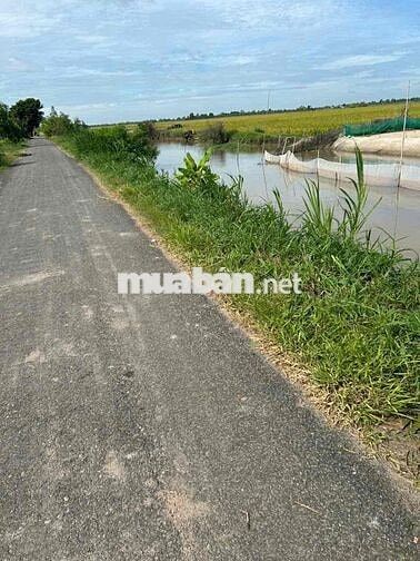 Bán Gấp Lô Đất Thổ Cư xã Tân điền huyện.gò công đông tiền giang