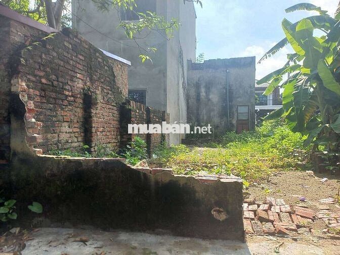 Phúc Thịnh phân lô ô tô 55m sổ vuông đẹp, phòng thủy vượng khí Phúc Thịnh phân lô ô tô 55m sổ vuông đẹp, phòng thủy vượng khí