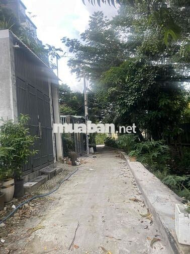 BÁN ĐẤT VƯỜN LÀI KẾ QL1A GIÁ 3,3 TỶ HXH THÔNG SAU NHÀ TRUYỀN THỐNG