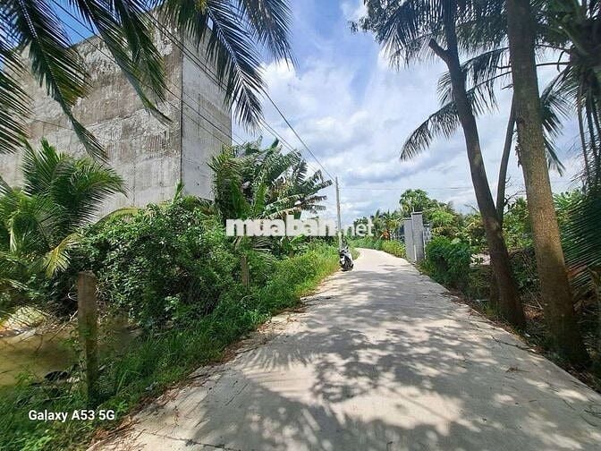 Đất thổ cư dt 1000m giá 4tỷ8 trên đất có sẵn nhà yến.Nhực chánh blức.