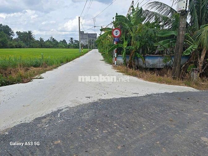 Đất thổ cư dt 1000m giá 4tỷ8 trên đất có sẵn nhà yến.Nhực chánh blức.